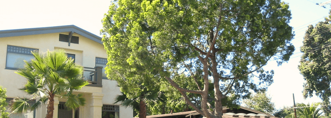 1831 De La Vina Exterior